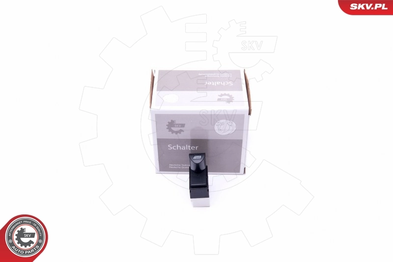 Switch, window regulator